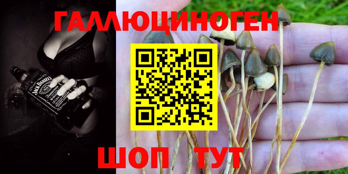 Галлюциногенные грибы MAGIC MUSHROOMS  Вход с VPN  Сарапул  Псилоцибиновые грибы прущие грибы 